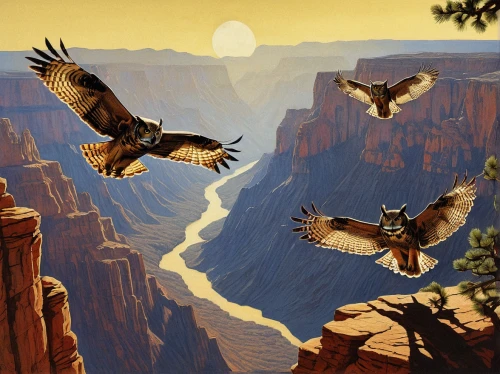 grand canyon,bald eagles,steppe eagle,mountain hawk eagle,eagle illustration,angel's landing,african eagle,guards of the canyon,eagles,of prey eagle,great horned owls,fairyland canyon,canyon,wild birds,migratory birds,united states national park,horseshoe bend,birds in flight,african fishing eagle,birds of prey,Illustration,Black and White,Black and White 17