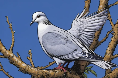white grey pigeon,white pigeon,turtledove,domestic pigeon,plumed-pigeon,collared dove,white pigeons,stock dove,domestic pigeons,victoria crown pigeon,dove of peace,white dove,turtle dove,beautiful dove,field pigeon,zebra dove,crown pigeon,inca dove,woodpigeon,speckled pigeon,Illustration,Black and White,Black and White 06
