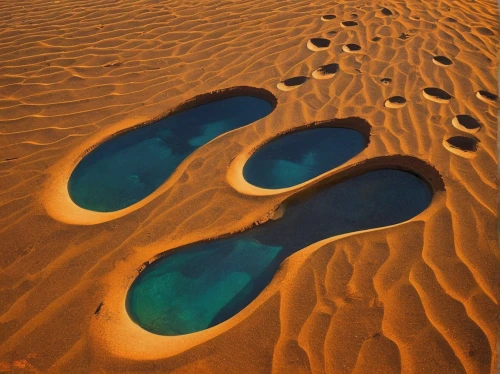 footprint,footprints,libyan desert,footprints in the sand,footsteps,footstep,footprint in the sand,foot prints,baby footprints,ecological footprint,baby footprint,salar flats,namibia,sahara desert,dubai desert,oman,namib desert,united arab emirates,libya,baby footprint in the sand,Conceptual Art,Fantasy,Fantasy 07