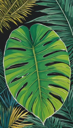 tropical leaf pattern,tropical leaf,jungle leaf,monstera,coconut leaf,palm leaves,monstera deliciosa,banana leaf,palm leaf,jungle drum leaves,tropical greens,oleaceae,tropical floral background,palm fronds,leaf drawing,heart of palm,foliage leaf,fig leaf,tropical digital paper,tropical tree,Illustration,American Style,American Style 15