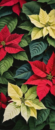 poinsettia,natal lily,poinsettia flower,holly leaves,embroidered leaves,hibiscus and leaves,christmas flower,christmas motif,christmas pattern,anthurium,christmas border,flower of christmas,watercolor leaves,tropical leaf pattern,christmas bells,xmas plant,leaf border,foliage coloring,flowers png,christmas wallpaper,Conceptual Art,Daily,Daily 05