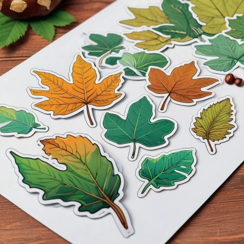 autumn leaf paper,leaf icons,embroidered leaves,leaf drawing,maple leave,fall leaf border,leaf background,watercolor leaves,glitter leaves,maple foliage,maple leaves,oak leaves,colored leaves,colorful leaves,leaf pattern,leaves case,decorative rubber stamp,spring leaf background,scrapbook clip art,autumn pattern,Unique,Design,Sticker