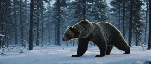 nordic bear,uintatherium,grizzlies,bearskin,grizzly,brown bear,winter animals,bear guardian,grizzly bear,american black bear,giant anteater,west siberian laika,great bear,bear,philomachus pugnax,ursa,anthropomorphized animals,forest animal,canidae,wild boar,Illustration,Japanese style,Japanese Style 10