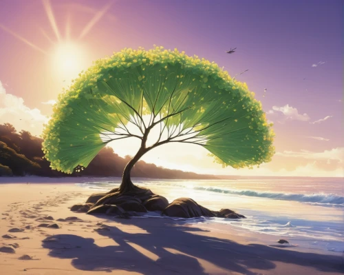 tropical tree,flourishing tree,landscape background,sunburst background,background vector,lone tree,beach landscape,tree of life,beach scenery,celtic tree,palm tree vector,beach background,background view nature,bodhi tree,spring leaf background,isolated tree,coconut tree,photosynthesis,summer background,the japanese tree,Illustration,Black and White,Black and White 08