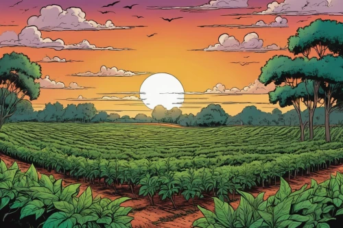 fruit fields,vegetable field,pineapple fields,vegetables landscape,alligator alley,field of cereals,corn field,agricultural,farm landscape,cornfield,swampy landscape,organic farm,cereal cultivation,crop plant,pineapple field,mushroom landscape,cultivated field,solar field,crops,agroculture,Illustration,American Style,American Style 13