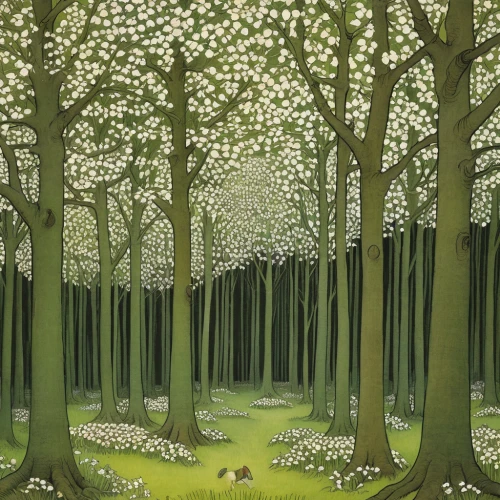 green forest,tree grove,birch forest,forest glade,beech trees,green meadow,chestnut forest,beech hedge,forest landscape,cartoon forest,the forest,beech forest,forest of dreams,deciduous forest,copse,forest clover,meadow and forest,fairy forest,forest,the forests,Illustration,Realistic Fantasy,Realistic Fantasy 31