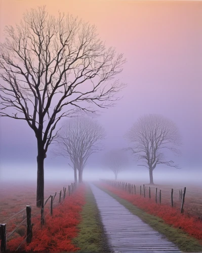 foggy landscape,purple landscape,autumn fog,tree lined path,dutch landscape,autumn landscape,fog banks,landscape background,the mystical path,landscape nature,nature landscape,dense fog,landscape photography,ground fog,holland,rural landscape,morning mist,pathway,lone tree,fineart,Art,Artistic Painting,Artistic Painting 33