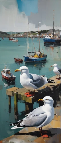 gulls,herring gulls,silver gulls,black headed gulls,sea gulls,scilly,seagulls,terns,isles of scilly,laughing gulls,harbour,black head gull,sea birds,seagulls flock,fishing boats,seagulls birds,boats,seagull,gull,flying sea gulls,Conceptual Art,Oil color,Oil Color 01