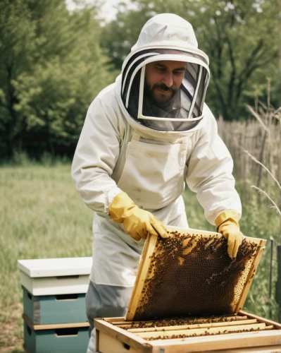 beekeeper,beekeeping,bee keeping,beekeepers,bee-keeping,apiary,beekeeping smoker,beeswax,beekeeper's smoker,beehives,bee farm,bee colonies,bee hive,honeybees,honey bees,hives,bees,beekeeper plant,honey products,bees pasture,Photography,Documentary Photography,Documentary Photography 02