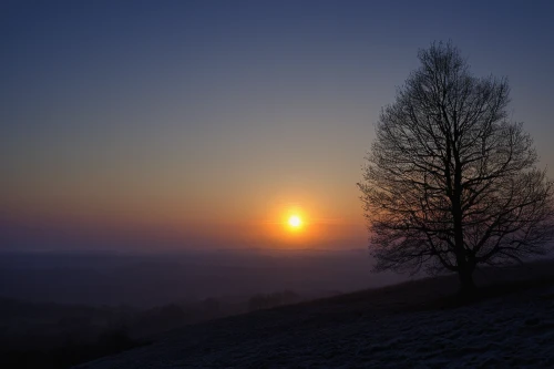 isolated tree,lone tree,winter morning,first light,ore mountains,winter tree,bare tree,daybreak,atmosphere sunrise sunrise,the first frost,sunrise,mountain sunrise,foggy landscape,winter light,winter landscape,fir tree silhouette,easter sunrise,setting sun,dawn,landscape photography,Art,Classical Oil Painting,Classical Oil Painting 10