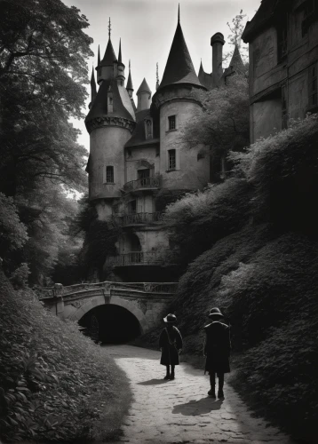 fairy tale castle sigmaringen,fairytale castle,haunted castle,castles,fairytale,fairy tale castle,ghost castle,a fairy tale,dordogne,gothic architecture,dunrobin,fairy tale,hohenzollern castle,dark gothic mood,peles castle,dracula castle,castle of the corvin,fairy tales,maulbronn monastery,gothic style,Photography,Black and white photography,Black and White Photography 15