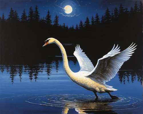 constellation swan,trumpeter swan,trumpeter swans,swan lake,tundra swan,trumpet of the swan,fujian white crane,swan,bird painting,white swan,whooping crane,swan boat,swans,swan on the lake,white pelican,eastern white pelican,canadian swans,waterfowl,water bird,water fowl,Conceptual Art,Daily,Daily 09