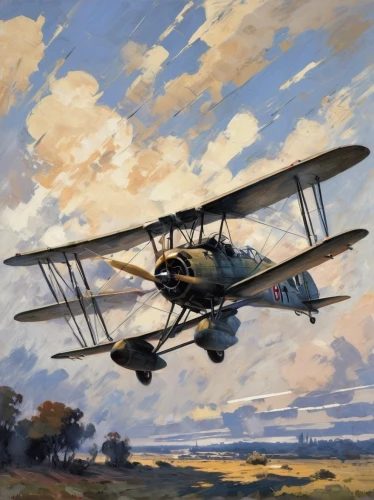 cessna o-1 bird dog,aeronca l-16,stinson reliant,royal aircraft factory r.e.8,royal aircraft factory b.e.2,an aircraft of the free flight,polikarpov po-2,triplane,biplane,monoplane,stampe sv.4,petlyakov pe-8,breda ba.88,boeing-stearman model 75,wright brothers,ultralight aviation,douglas aircraft company,fokker dr1,fokker dr 1,airco dh.2,Conceptual Art,Oil color,Oil Color 10