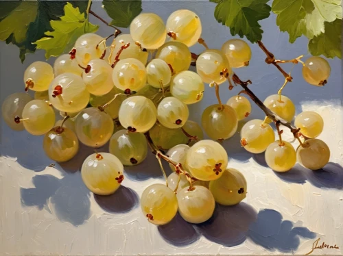 white grapes,grapes,bunch of grapes,table grapes,unripe grapes,grapes goiter-campion,fresh grapes,red grapes,grapes icon,wine grapes,wood and grapes,green grapes,viognier grapes,gooseberries,grapevines,wine grape,vineyard grapes,grape vine,grape harvest,european gooseberries,Conceptual Art,Oil color,Oil Color 22