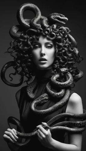 medusa,medusa gorgon,gorgon,coils,tendrils,serpent,artificial hair integrations,snake charming,ringed-worm,tendril,curved ribbon,sinuous,woven rope,kingsnake,image manipulation,spirals,fashion illustration,tentacles,sigourney weave,spiralling,Illustration,Black and White,Black and White 26