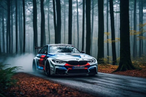 mégane rs,foggy forest,bmw m2,autumn fog,bmw,nürburgring,m4,bmw m4,germany forest,in the forest,1 series,m6,foggy day,p1,vln,m3,z4,i8,m5,bmw 335,Illustration,Japanese style,Japanese Style 12