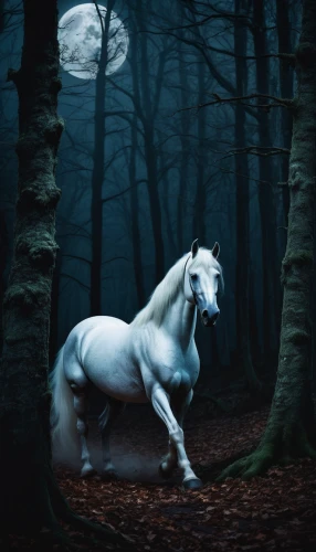 a white horse,white horse,albino horse,white horses,unicorn art,arabian horse,equine,horseman,unicorn background,black horse,dream horse,constellation unicorn,gallop,fantasy picture,unicorn,two-horses,beautiful horses,photo manipulation,carousel horse,photomanipulation,Conceptual Art,Daily,Daily 07