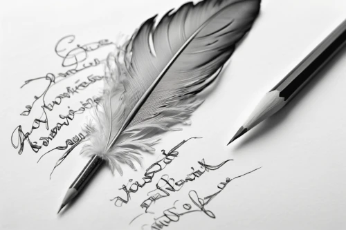 feather pen,calligraphic,calligraphy,quill pen,white feather,guestbook,dove of peace,to write,black feather,feather,handwriting,writing-book,written,al qurayyah,beautiful pencil,arabic background,write,pencil art,learn to write,ḡalyān,Illustration,Black and White,Black and White 30