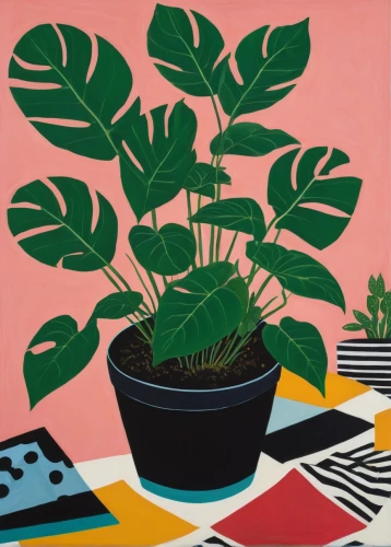houseplant,potted plants,house plants,plants in pots,potted plant,money plant,exotic plants,plants,growth icon,plant pot,plant and roots,the plant,pot plant,woodblock prints,cd cover,ikebana,garden plants,monstera,beefsteak plant,century plant,Art,Artistic Painting,Artistic Painting 23