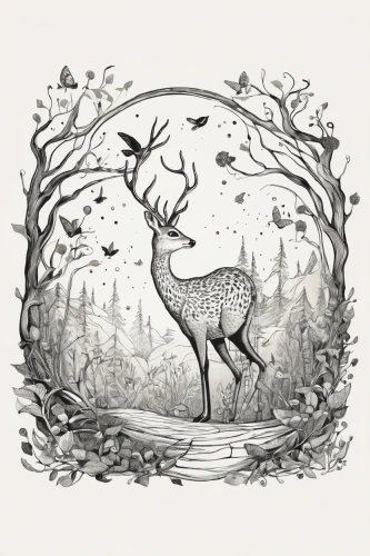 deer illustration,deer drawing,line art animals,woodland animals,forest animal,stag,elk,dotted deer,birch tree illustration,forest animals,deer,deer in tears,fawn,young-deer,whimsical animals,hand-drawn illustration,deer silhouette,winter deer,line art animal,bird illustration,Illustration,Black and White,Black and White 26