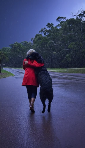 walking in the rain,rain cats and dogs,heavy rain,tropical cyclone catarina,in the rain,rainy season,monsoon,the dog a hug,companion dog,rainy day,new south wales,rainstorm,raining,cão da serra de aires,rainy weather,murray river curly coated retriever,cape byron lighthouse,gladesville,rains,companionship,Photography,Black and white photography,Black and White Photography 04