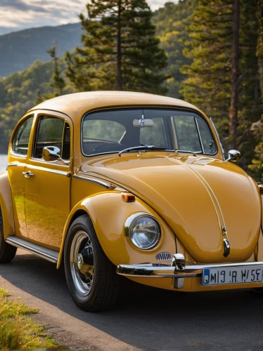 volkswagen beetle,volkswagen new beetle,vw beetle,the beetle,beetle,bumblebee,volkswagen 181,porsche 356,porsche 356/1,volkswagen vw,volkswagen type 3,356 b,vw model,beetles,vw bulli,volkswagen type 14a,volkswagen karmann ghia,brush beetle,volkswagen brasilia,bumble bee,Illustration,Children,Children 02