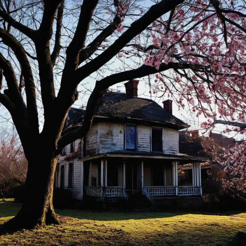 appomattox court house,old colonial house,doll's house,new echota,dillington house,new england style house,historic house,country house,witch house,ruhl house,henry g marquand house,ash-maple trees,queen anne,witch's house,house silhouette,the haunted house,old home,old house,woman house,flock house,Illustration,Paper based,Paper Based 03