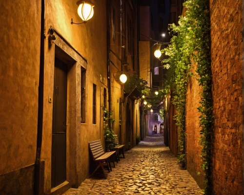 trastevere,the cobbled streets,alley,narrow street,rome at night,rome night,cobblestones,old linden alley,alleyway,italy,medieval street,italia,cobblestone,cobbles,landscape lighting,lucca,getreidegasse,pavia,rome,street lamps,Art,Artistic Painting,Artistic Painting 32