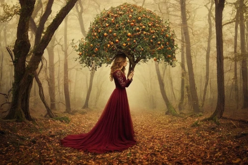girl with tree,the girl next to the tree,red tree,autumn tree,magic tree,fantasy picture,seasonal tree,autumn theme,dryad,rowan-tree,mystical portrait of a girl,flourishing tree,tangerine tree,photomanipulation,red riding hood,girl in a wreath,ballerina in the woods,autumn background,the autumn,conceptual photography,Photography,Artistic Photography,Artistic Photography 14