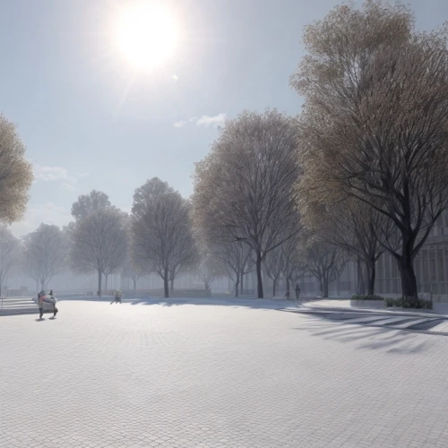 ice rink,skating rink,tuileries garden,render,3d rendering,snow landscape,winter landscape,snow scene,winter background,salt meadow landscape,ice skating,riverside park,champ de mars,snowy landscape,3d rendered,ground frost,winter sports,fragrant snow sea,winter forest,central park,Common,Common,Natural