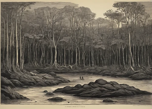 robert duncanson,forest landscape,riparian forest,lithograph,old-growth forest,brook landscape,the roots of the mangrove trees,cool woodblock images,tropical and subtropical coniferous forests,temperate broadleaf and mixed forest,forest dieback,gum trees,river landscape,coastal landscape,edward lear,walnut trees,mountain scene,the forests,northwest forest,chestnut forest,Illustration,Retro,Retro 22