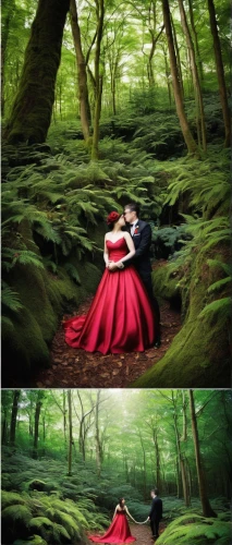 fairytale,a fairy tale,fairy tale,photo manipulation,photo painting,bodypainting,photoshop manipulation,digital compositing,red riding hood,fairytales,pre-wedding photo shoot,forest background,photomanipulation,art photography,ballerina in the woods,fairy tales,forest of dreams,romantic scene,fairytale forest,world digital painting,Illustration,Black and White,Black and White 14