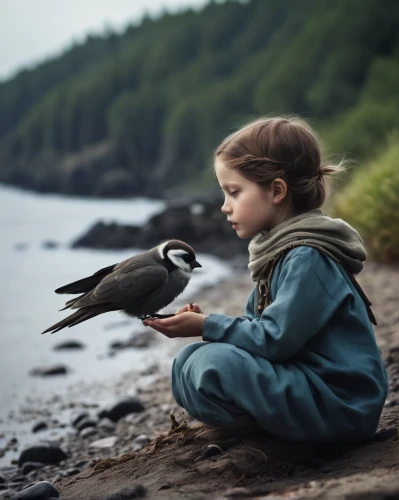 child feeding pigeons,photographing children,corvidae,feeding birds,girl and boy outdoor,ornithology,falconry,nature bird,young bird,human and animal,young penguin,birdlife,birds love,feeding the birds,birds of the sea,birds with heart,child with a book,perching birds,little bird,dwarf penguin,Photography,Artistic Photography,Artistic Photography 13