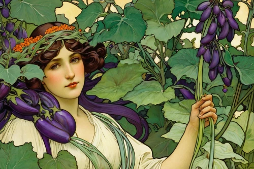 jasmine-flowered nightshade,nightshade plant,solanum,la violetta,mucha,art nouveau,violets,solanum melongena,solanum jasminoides,art nouveau design,flowering vines,picking vegetables in early spring,solanum lycocarpum,atropa belladonna,monkshood,flora,solanaceae,soprano lilac spoon,deadly nightshade,bellflowers,Illustration,Retro,Retro 03