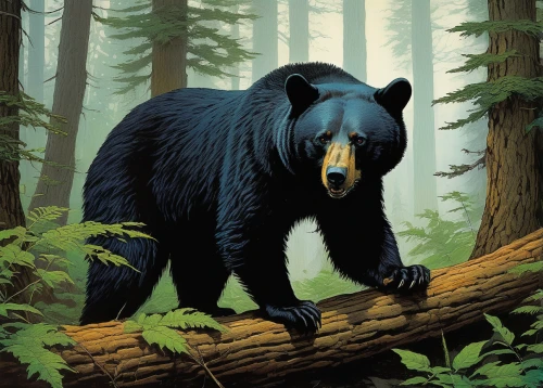 american black bear,black bears,nordic bear,bear,bear guardian,great bear,sun bear,bear kamchatka,grizzlies,ursa,brown bear,scandia bear,grizzly bear,grizzly,bear market,bears,kodiak bear,cute bear,spectacled bear,sloth bear,Conceptual Art,Daily,Daily 09