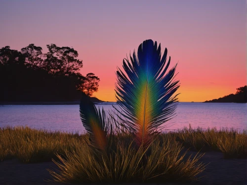 bird of paradise,bird-of-paradise,flower bird of paradise,color feathers,peacock feather,peacock feathers,parrot feathers,bird of paradise flower,feather on water,feather headdress,feather bristle grass,gymea lily,prince of wales feathers,tasmanian flax-lily,swan feather,south australia,agave azul,cycad,plumage,bromelia,Photography,Black and white photography,Black and White Photography 05