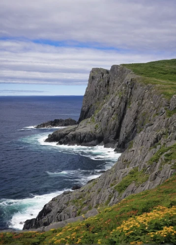 neist point,newfoundland,coastal and oceanic landforms,falkland islands,isle of may,norway coast,cape marguerite,donegal,southermost point,north cape,north atlantic,cliffs ocean,shetland,coastal landscape,orkney island,sceleton coast,moher,capelin,faroe islands,cliff coast,Illustration,Japanese style,Japanese Style 20