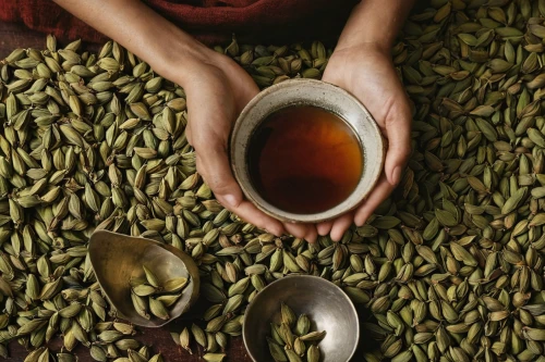 cardamom,assam tea,roasted barley tea,coffee beans and cardamom,masala chai,maojian tea,mung bean,ceylon tea,darjeeling tea,mung beans,chinese herb tea,dianhong tea,longjing tea,vietnamese lotus tea,fennel seeds,moong bean,moc chau tea doi,pu'er tea,houkui tea,pumpkin seed,Photography,Artistic Photography,Artistic Photography 14