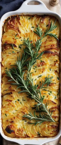 oven-baked cheese,potato gratin,cottage pie,gratin,potato casserole,lasagne,rosemary potatoes,baked ziti,pommes anna,macaroni casserole,pastitsio,moussaka,kugel,sheet pan,hachis parmentier,gratinated,cannelloni,yellow leaf pie,tartiflette,mostaccioli,Photography,Fashion Photography,Fashion Photography 13