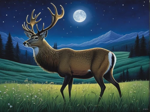 deer illustration,elk,pere davids deer,mule deer,antler velvet,whitetail buck,red deer,european deer,male deer,deer drawing,glowing antlers,bull elk resting,manchurian stag,whitetail,deer,black-brown mountain sheep,young-deer,bull elk on lateral moraine,stag,gold deer,Illustration,Children,Children 03