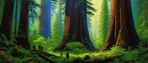 old-growth forest,redwoods,spruce forest,coniferous forest,tropical and subtropical coniferous forests,spruce-fir forest,temperate coniferous forest,redwood tree,fir forest,redwood,northwest forest,forest landscape,green forest,pine forest,forests,the forests,forest background,spruce trees,deciduous forest,cartoon forest,Illustration,Realistic Fantasy,Realistic Fantasy 32
