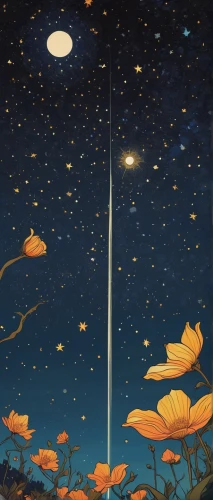 cosmos field,cosmos wind,stars and moon,cosmos,cosmos autumn,falling stars,fireflies,stargazing,astronomy,starry sky,shirakami-sanchi,the moon and the stars,night stars,hanging stars,the night sky,celestial bodies,constellations,flying seeds,cosmos flowers,night scene,Illustration,Vector,Vector 02