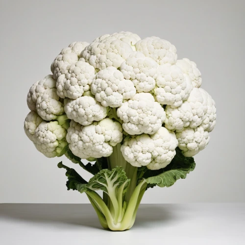 cauliflower,broccoflower,romanesca cauliflower,cruciferous vegetables,fragrant snowball,seed cow carnation,white cabbage,cauliflower roses,pak-choi,brocoli broccolli,brassica,chinese cabbage,romanescu,bouquet of carnations,the white chrysanthemum,brassica oleracea var,korean chrysanthemum,white chrysanthemum,brassica rapa,chrysanthemum,Conceptual Art,Graffiti Art,Graffiti Art 11