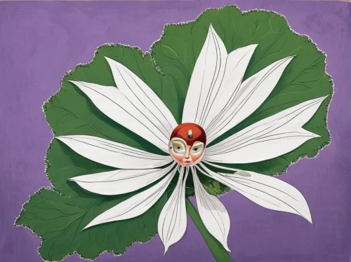white trillium,white passion flower,passiflora,common passion flower,passion flower,wood anemone,flower painting,passionflower,ox-eye daisy,barberton daisy,passiflora sp,flowers png,pericallis,flower illustration,guernsey lily,anemone narcissiflora,tree mallow,crown chakra flower,calystegia sepium,passiflora vitifolia,Illustration,Abstract Fantasy,Abstract Fantasy 23