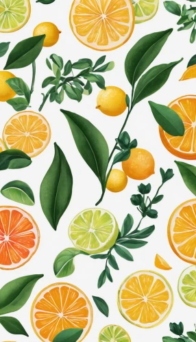 lemon wallpaper,lemon background,lemon pattern,fruit pattern,seamless pattern,citrus,green oranges,citrus fruit,citrus fruits,juicy citrus,seamless pattern repeat,valencia orange,orange slices,background pattern,oranges,calamondin,orange tree,citrus food,mandarin orange,lemon tree,Photography,Documentary Photography,Documentary Photography 18