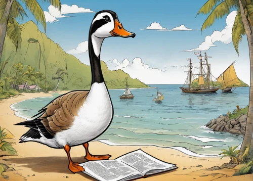 gooseander,st martin's day goose,nile goose,brahminy duck,seaduck,book illustration,rust goose,game illustration,david bates,cayuga duck,shelduck,seabird,wild goose,canard,island residents,bird illustration,coastal bird,platycercus,anatidae,canadian goose,Illustration,Abstract Fantasy,Abstract Fantasy 23