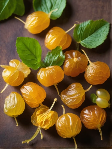 cape gooseberry,exotic cape gooseberry,indian jujube,european gooseberries,physalis,physalis peruviana,physalis alkekengi,ground cherry,still physalis life,dried apricots,chestnut fruits,gooseberries,peruvian groundcherry,kumquats,mandarins,indian gooseberry,chinese gooseberry,jojoba oil,hazelnuts,rose hip ingredient,Conceptual Art,Oil color,Oil Color 16