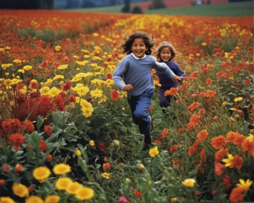 field of poppies,field of flowers,flowers field,poppy fields,picking flowers,girl and boy outdoor,girl picking flowers,girl in flowers,tulip festival,little girls walking,flower field,blanket flowers,marigolds,poppy field,wildflowers,happy children playing in the forest,blanket of flowers,tulip field,flowers of the field,field of rapeseeds,Photography,Documentary Photography,Documentary Photography 12