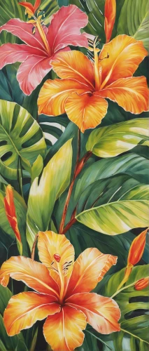 tropical floral background,tropical flowers,hawaiian hibiscus,tropical bloom,tropical leaf pattern,palm lilies,hibiscus and leaves,frangipani,flower painting,orange floral paper,tropics,hibiscus flowers,flowers png,watercolor leaves,floral background,floral digital background,tropic,colored pencil background,oleaceae,exotic plants,Illustration,Retro,Retro 20