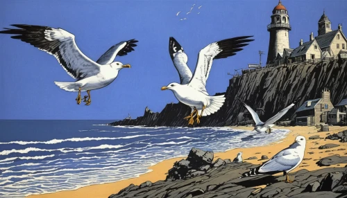 flying sea gulls,sea gulls,silver gulls,seagulls,seagulls flock,gulls,seagulls birds,herring gulls,birds of the sea,silver seagull,seabirds,cool woodblock images,sea birds,sea-gull,cape gull,david bates,ornithology,seagull,seabird,crested terns,Conceptual Art,Daily,Daily 09